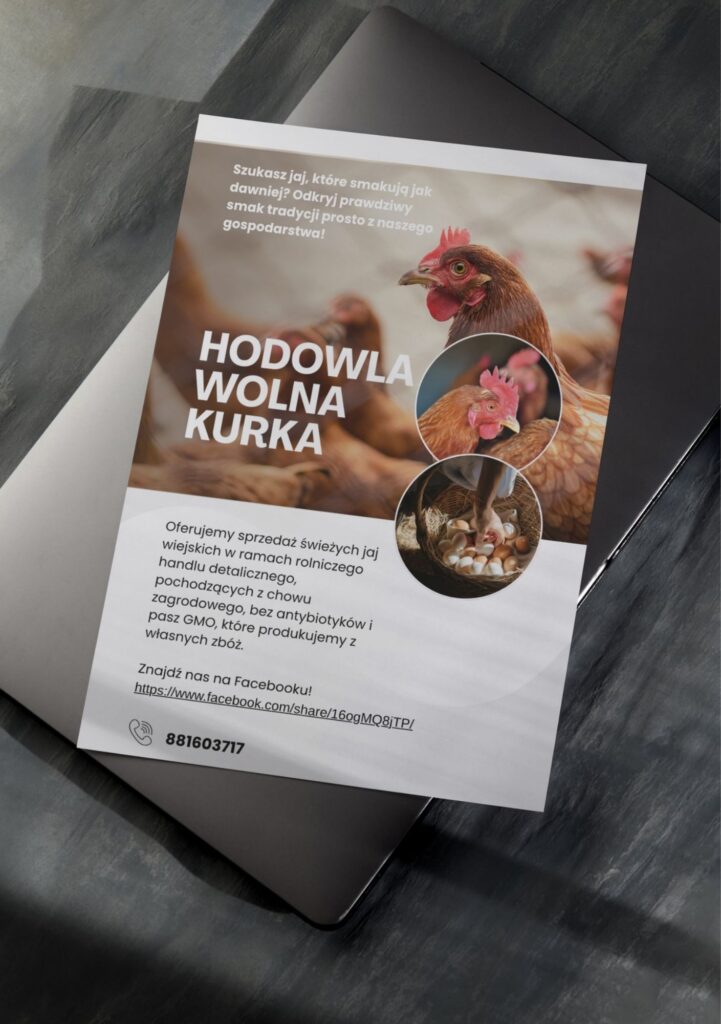 przod - Zacznijodprojektu.com.pl