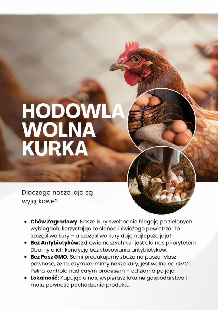 tylkury - Zacznijodprojektu.com.pl