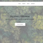 Zielony las, natura, spokój, harmonia