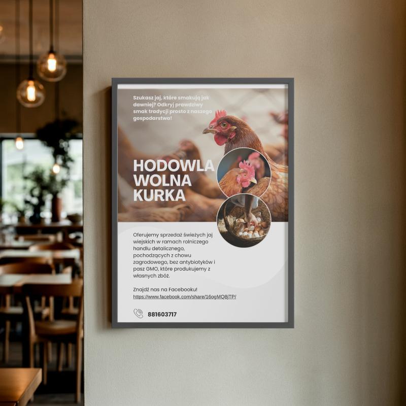 Projekt ulotki Hodowli Wolna Kurka z fotografiami kur, opisem oferty sprzedaży jaj wiejskich i danymi kontaktowymi.