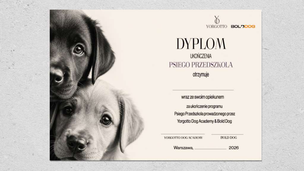 Projekt materiału graficznego przygotowanego w ramach identyfikacji marki