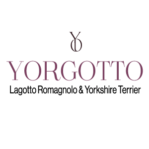 Yorgotto – projekt logo Psiego Przedszkola | Zacznij od Projektu Logo Yorgotto – Psie Przedszkole, projekt identyfikacji wizualnej marki